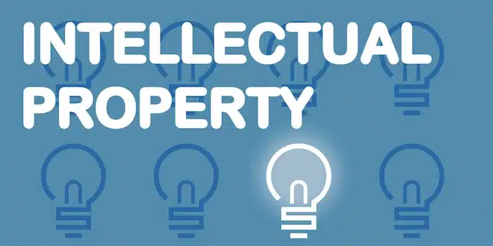 We own and hold the intellectual property rights