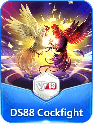 cockfight